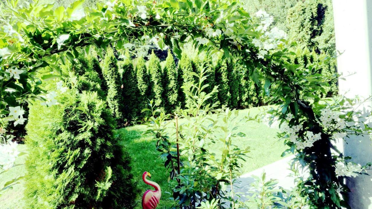 Flamind Holiday Apartments Mit Garten Und Grill Altenberg bei Linz Eksteriør billede